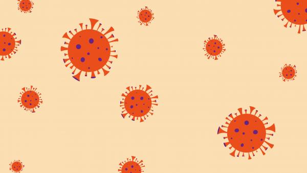 Accessibilité de nos accueils